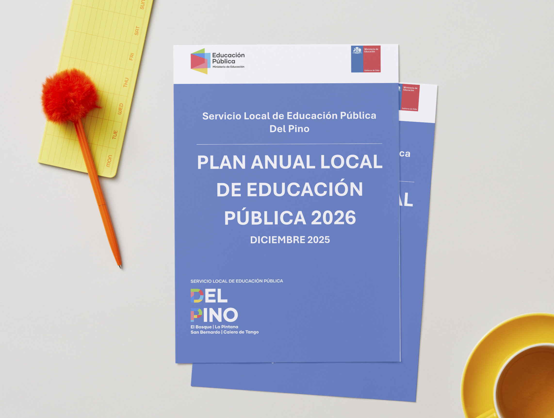Plan Anual Local Educación Pública Del Pino 2026