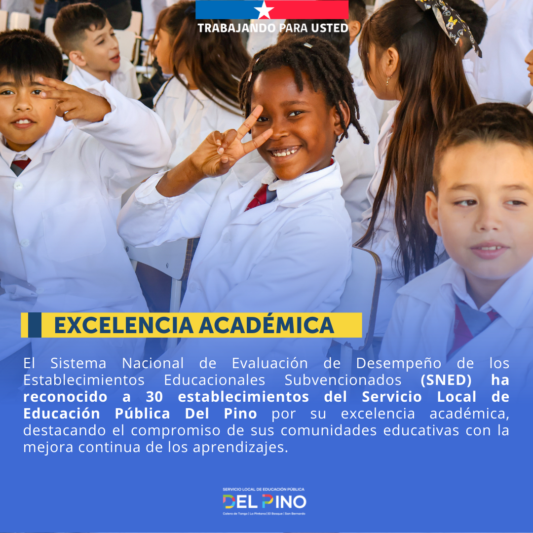Excelencia en la Educación Pública: 30 establecimientos del SLEP Del Pino son distinguidos con el SNED