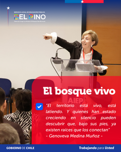 Portada azul 2 (16)